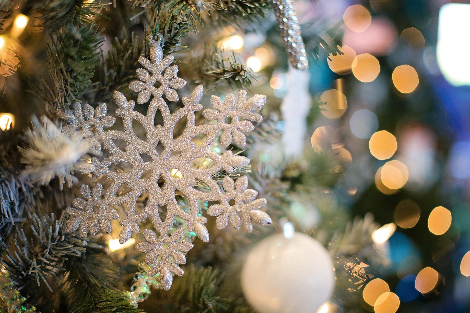article de blog moenou carte de voeux virtuelle noël et bonne année