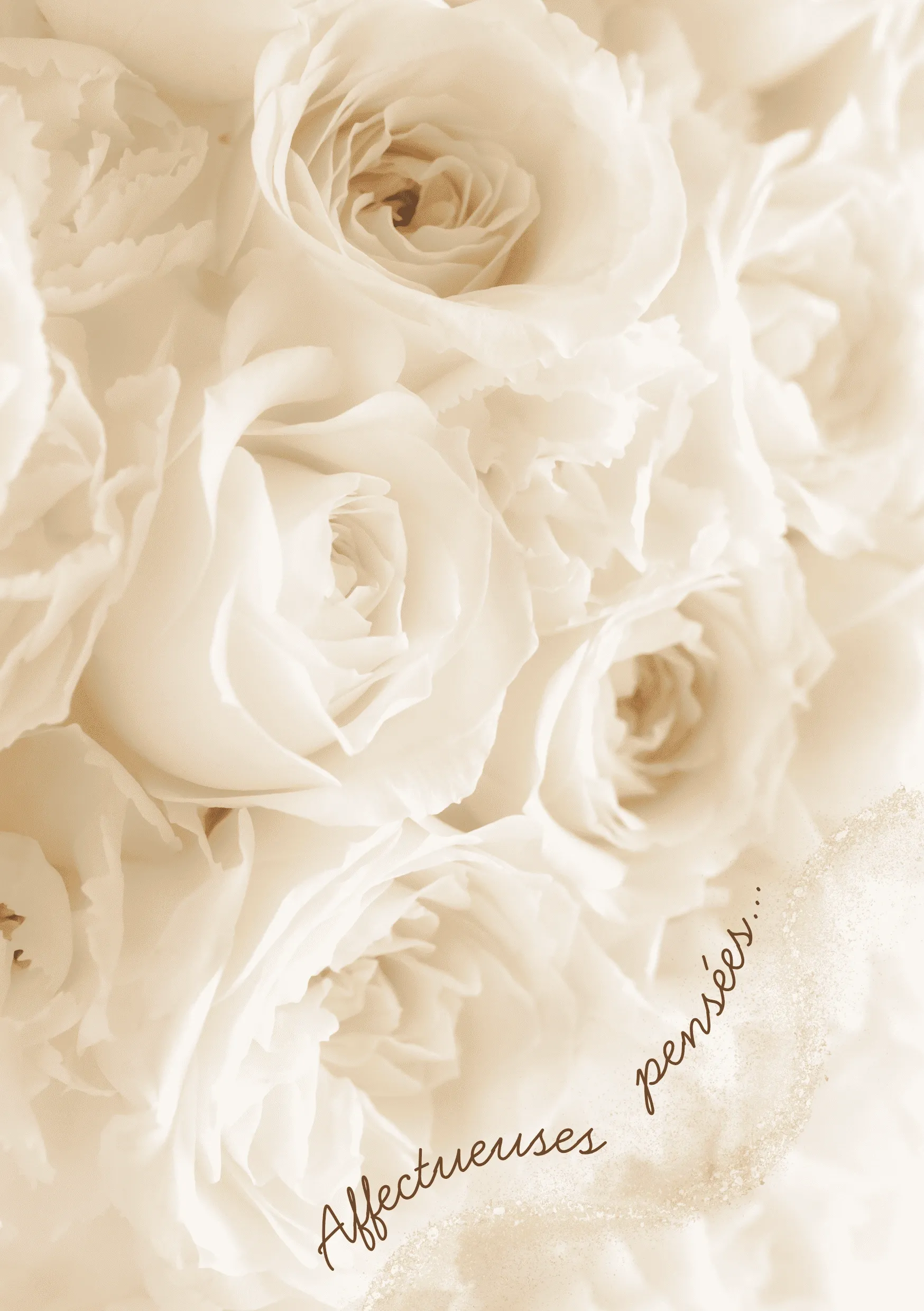 Carte de condoléances roses blanches