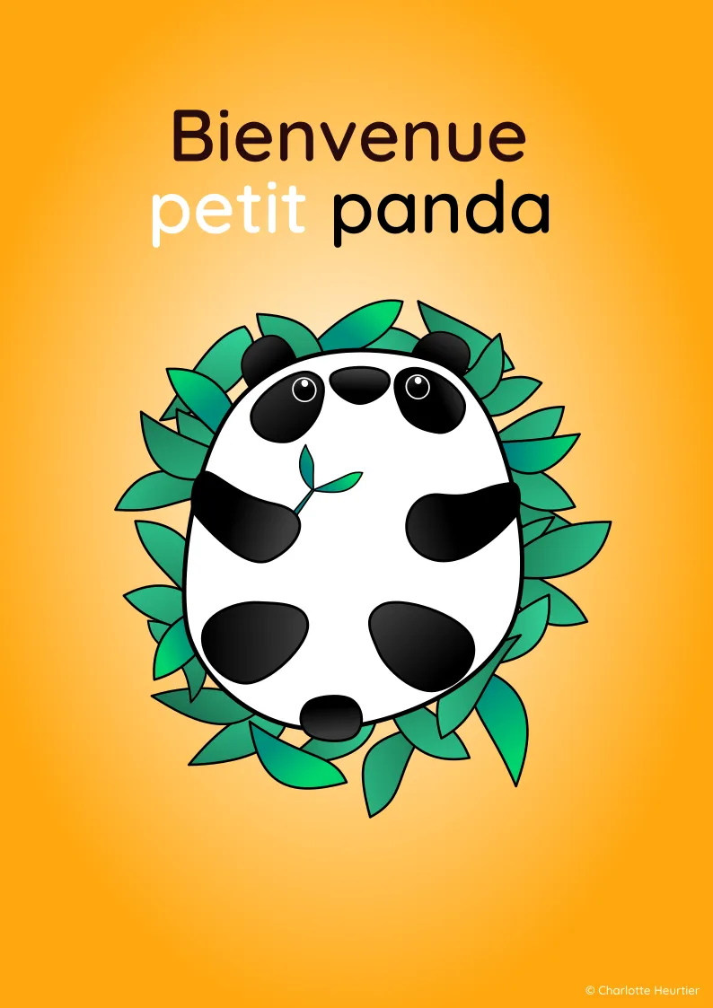 Carte félicitations naissance illustration panda Charlotte Heurtier 